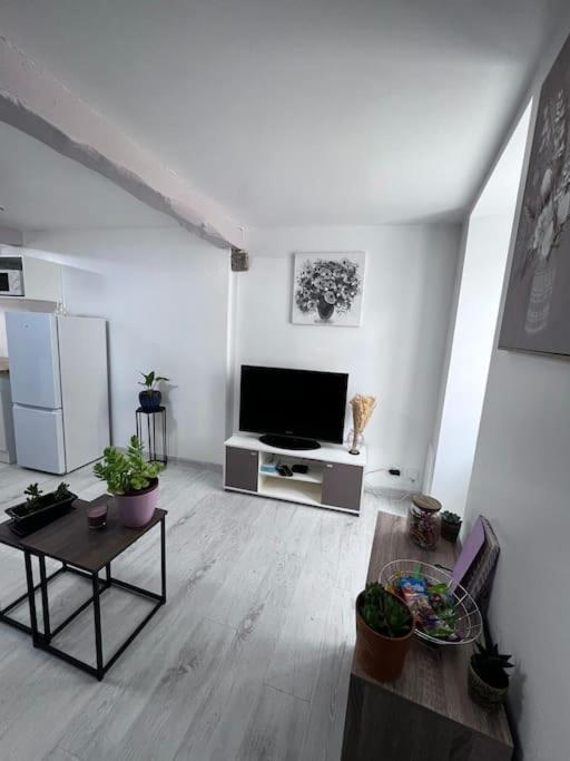 Charmante Maison Renovee Nérac Extérieur photo